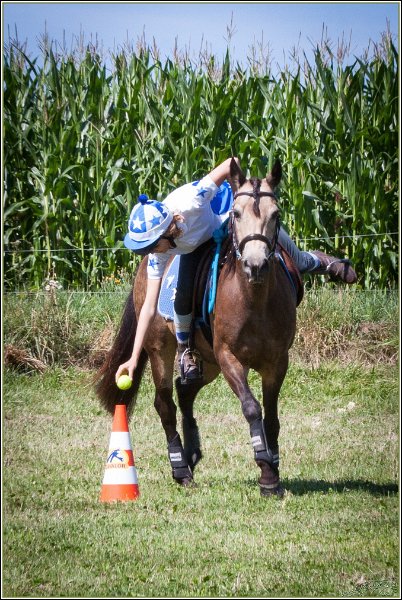 Mounted Games 068